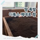 금화 | 인천 효소 찜질 금화효소원 후기｜산후조리, 면역력 강화, 다이어트 등에 추천
