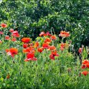 길산농장 이미지