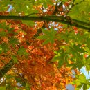 나곡체육공원 이미지