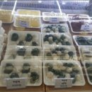 부부족발 - 진주시 진주성로54번길 8 | 부부족발