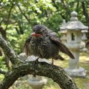 보화당약국 이미지