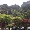 녹색오토캠핑장 이미지