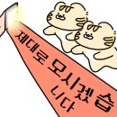 청년가 이미지