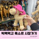 이집트 여행-4 이집트 룩소르 맥도날드 빅맥먹고 엘숙 시장 구경.(팔라펠 맥랩)