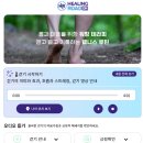 힐링로드 네이버블로그