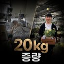 지에스25 원흥중앙점 | 원흥pt,피티 몸이 아파 운동이 힘들었던 분들의 맞춤형 20kg 증량 후기