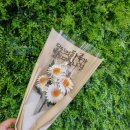 챠밍영어교습소