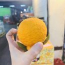 만나유통과일 이미지