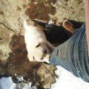 뭉개뭉개 이미지