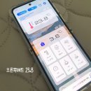 두계 | 체온계로 확인한 분리 온열매트 찜질매트 더블 퀸 반반 듀얼매트 한일 두계절매트