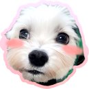 뽀사장