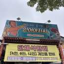 인어아저씨회랑굴이랑 | 포항 장성동 맛집 : 인어아저씨