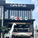 광안리 오션뷰 카페 코콕 COCOC 반려견 동반 가능 내돈내산 후기