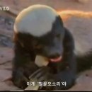 아이엠제이 - 강북구 한천로131길 7 | 아이엠제이