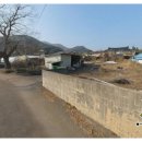 공인중개사사무소담장 네이버블로그