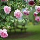 설봉예술단 6기 / 김춘희 단원 선정 / 시낭송가 부문 (일반부) / 충남 부여 거주 이미지