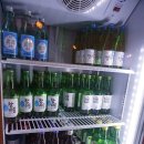 윤씨네사생활 | 강릉 포남동 술집 과메기 먹으러 윤씨네사생활