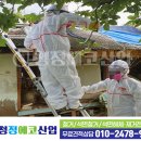 에코산업 이미지