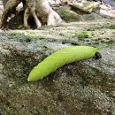 함허동천(매표소) | 강화 마니산 (함허동천~정상~참성단~계단길) - 2025.10