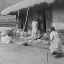 선인동 | 우리민족과 개의기원 1장 한민족의 기원1.2한반도 신석기인의 출현