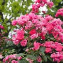 햇살가득밀양전원주택 이미지