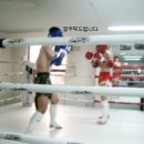 태산체육관 이미지