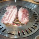 꼬기랑호프랑