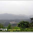 보은대추아리숲농원