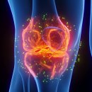 서울튼튼신경외과의원 이미지