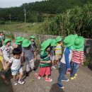 숭덕초등학교 병설유치원 이미지