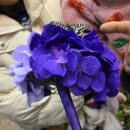 꿈꾸는 나비 | 에버랜드 아이랑 오후권 방문 후기🎄✨크리스마스 판타지, 나비의 꿈꾸는 정원, 바오하우스까지