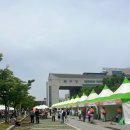북구청 광장 | 20주년 울산 북구청 광장 쇠부리축제 후기