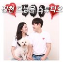 진천 셀프 사진관 모닝문 반려동물 동반 촬영 내돈내산 후기