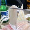 반여농산물시장역 | 부산 자연산회 블루리본 맛집 새총횟집 / 고급어종, 줄가자미(이시가리) 후기