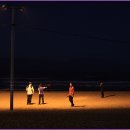 곰배령화원 이미지