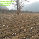 늘목리 진료소 이미지