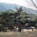 직두리 이미지