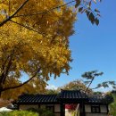 도토리의꿈 | #W11.북서울꿈의숲 웨딩 케이터링 시식 후기 : 케이터링제이