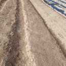 경윤농장 이미지