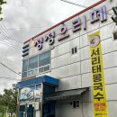청정오리떼 이미지