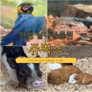 케이지모빌리티 남동서비스프라자 | [쥬벅스] 아이와 가볼만한 곳 인천 실내동물원 주말 방문 솔직 상세 후기