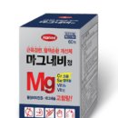 부평마그네