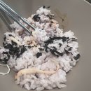 흙과향기 | 영등포구 도림동 흙향기 쭈꾸미 맛집 본점 후기