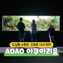 설호사 | [AOAO 아쿠아리움] 아오아오 실내 수족관 후기 및 할인, 삿포로 아이와 갈만한 곳