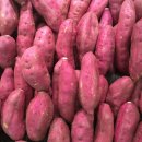 피트니스&유 이미지