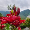 내송1길 이미지