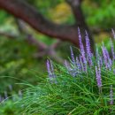 안남고등학교 이미지