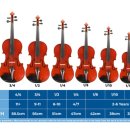 바이올린1 이미지