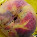 병일농장 이미지