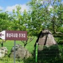 나무고아원 이미지